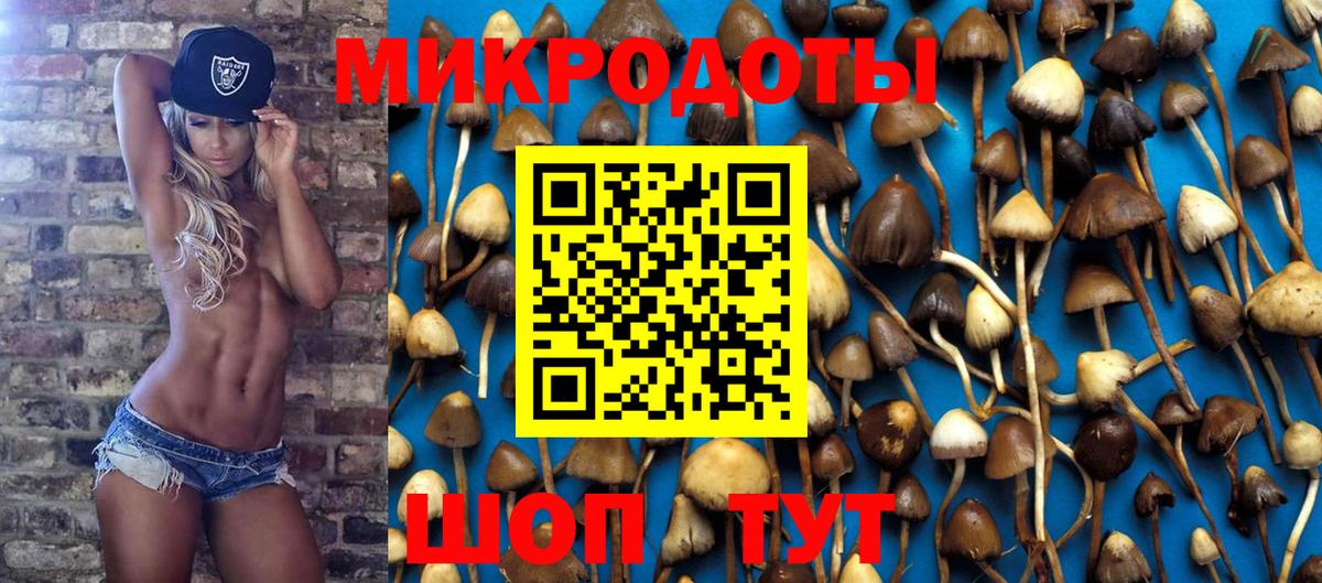 Галлюциногенные грибы Magic Shrooms Нягань